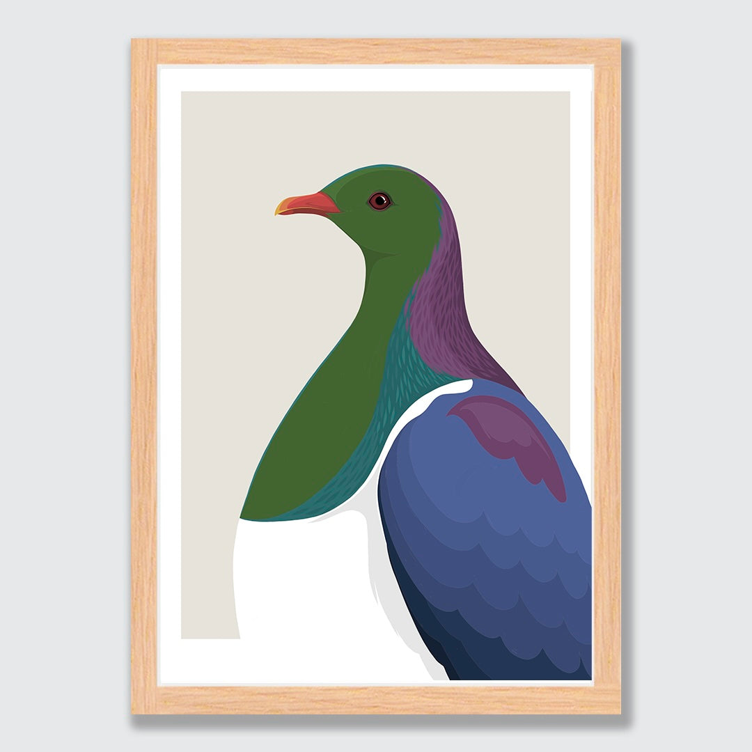 Art print of the Kereru bird by NZ artist Hansby Design 