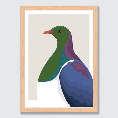 Art print of the Kereru bird by NZ artist Hansby Design 