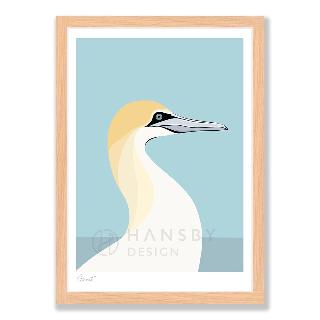 Gannet art print in natural frame, by NZ artist Hansby Design