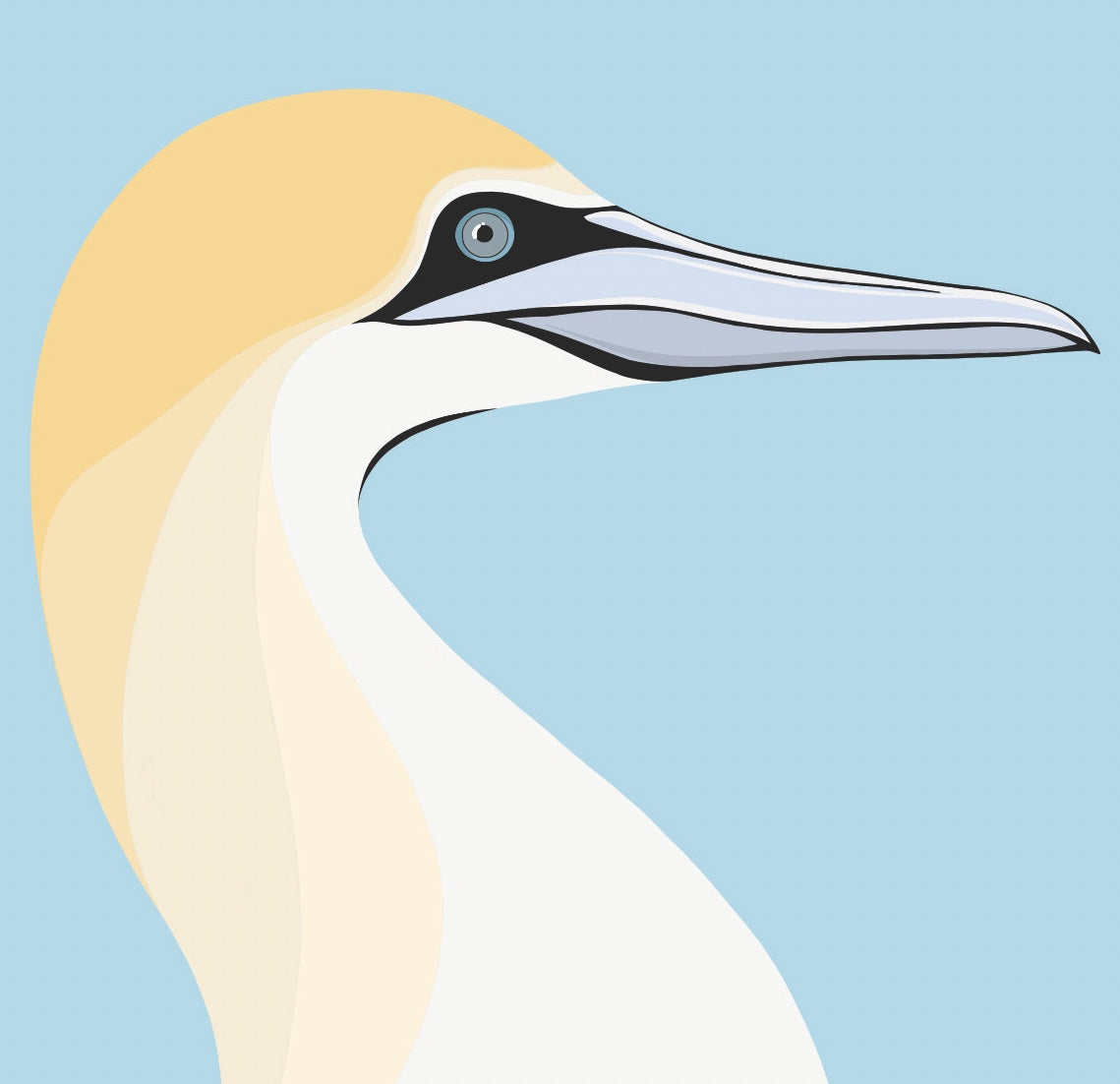 Closeup image of the Gannet art print, by NZ artist Hansby Design