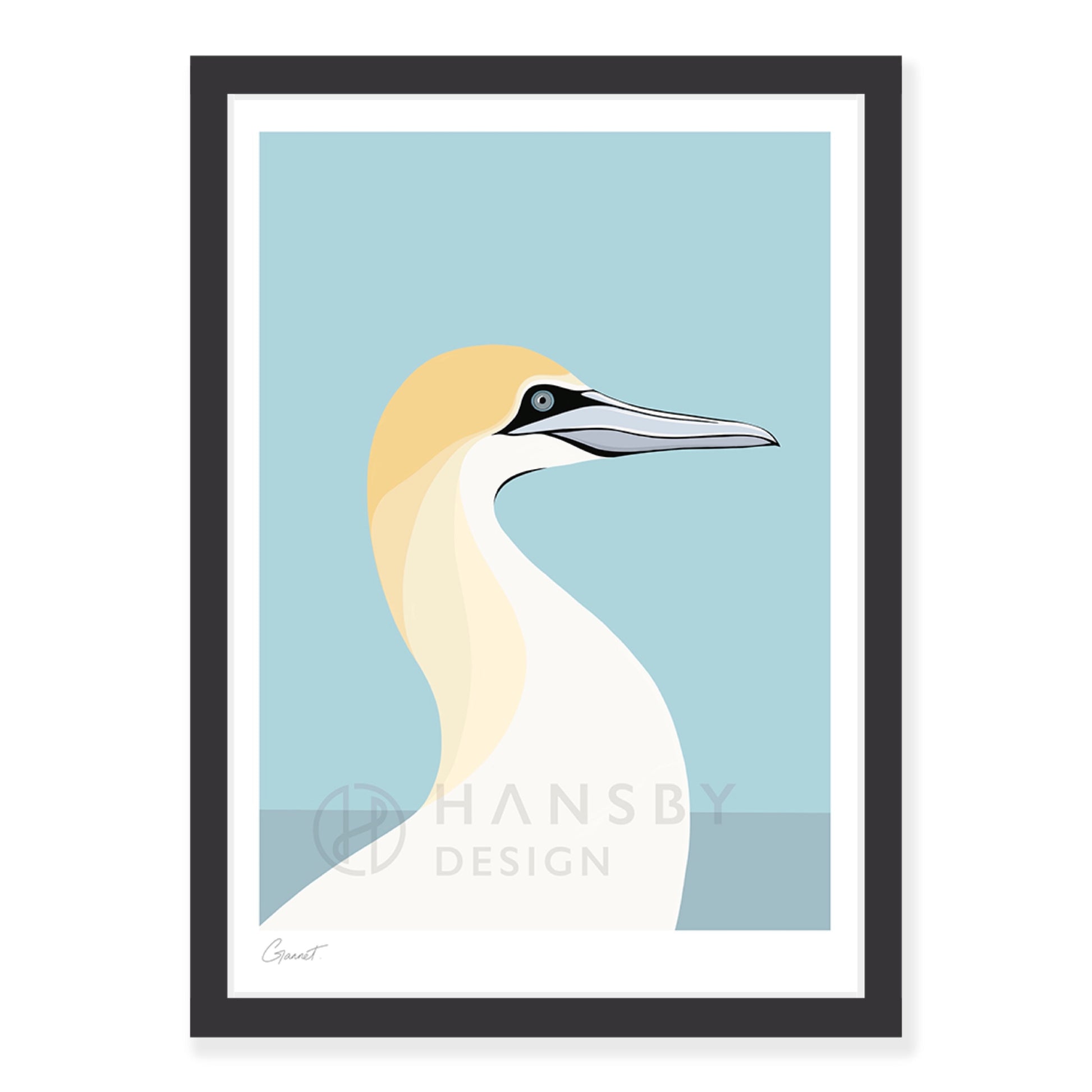 Gannet art print in black frame, by NZ artist Hansby Design