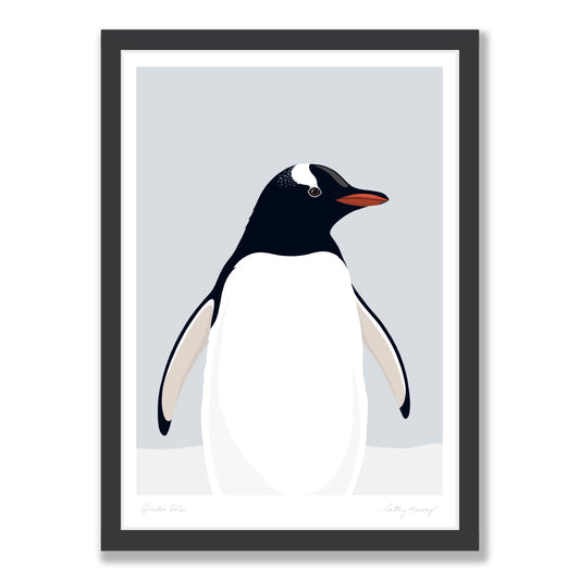 Gentoo Penguin Solo