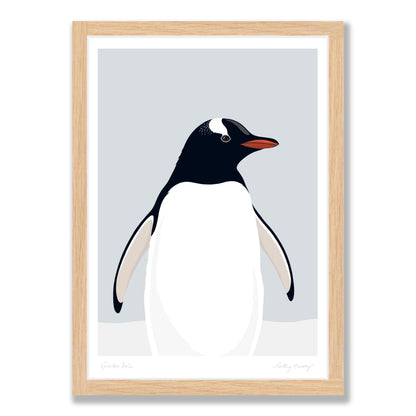 Gentoo Penguin Solo