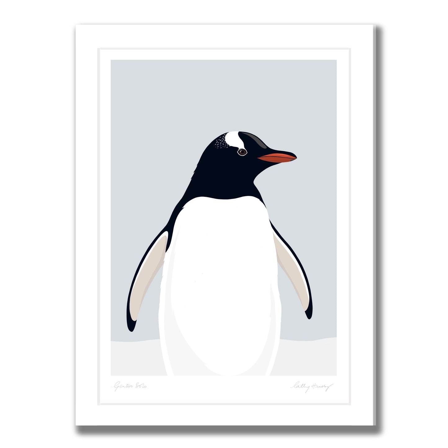 Gentoo Penguin Solo