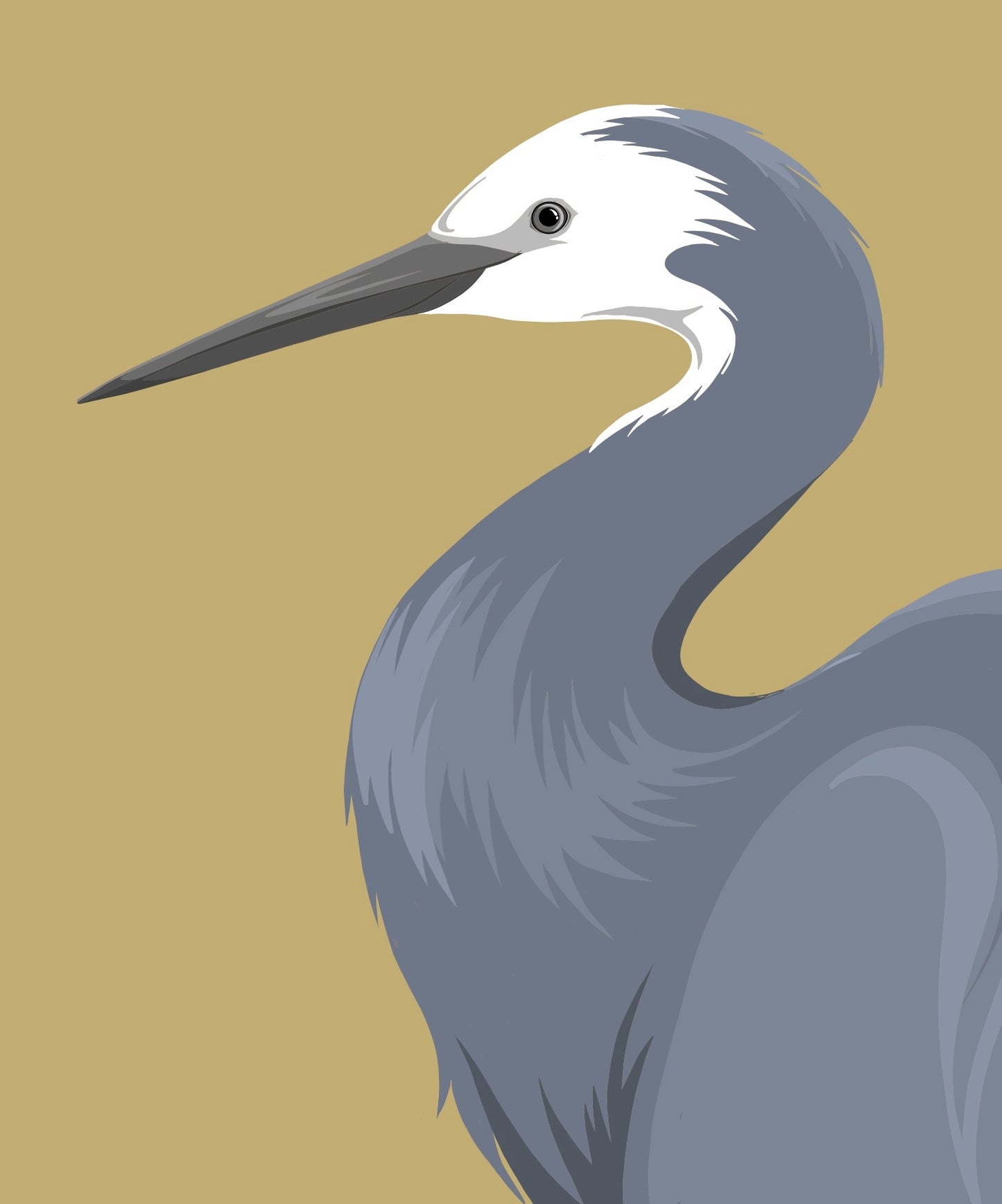 White Faced Heron art print by New Zealand artist Hansby Design