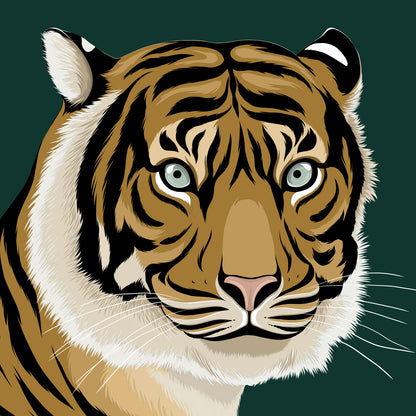 Sumatran Tiger