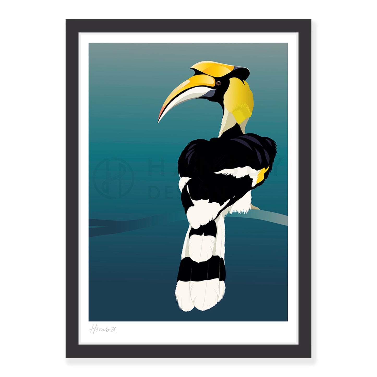 Hornbill art print in black frame, by NZ artist Hansby Design