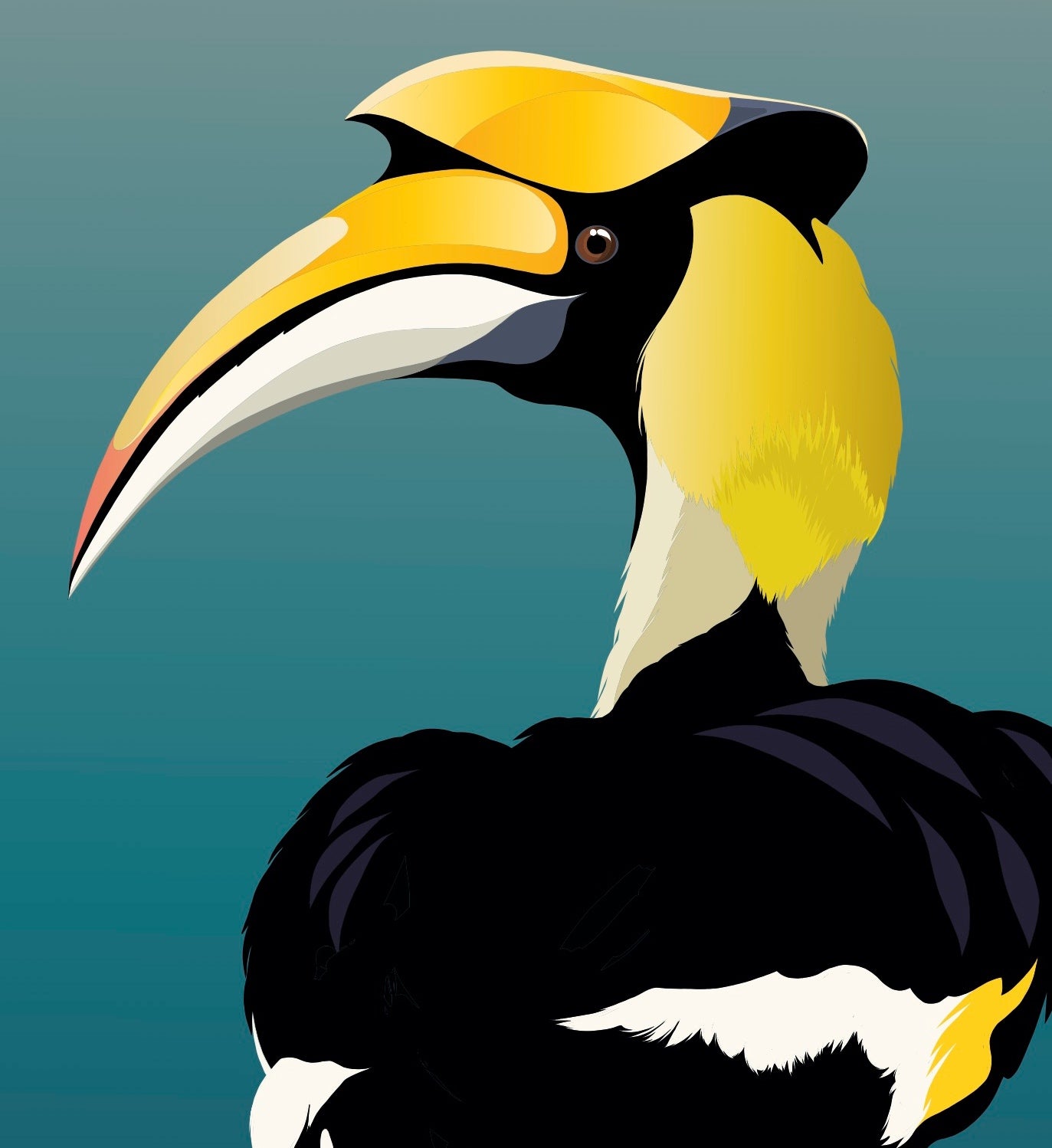 Closeup image of the Hornbill art print, by NZ artist Hansby Design