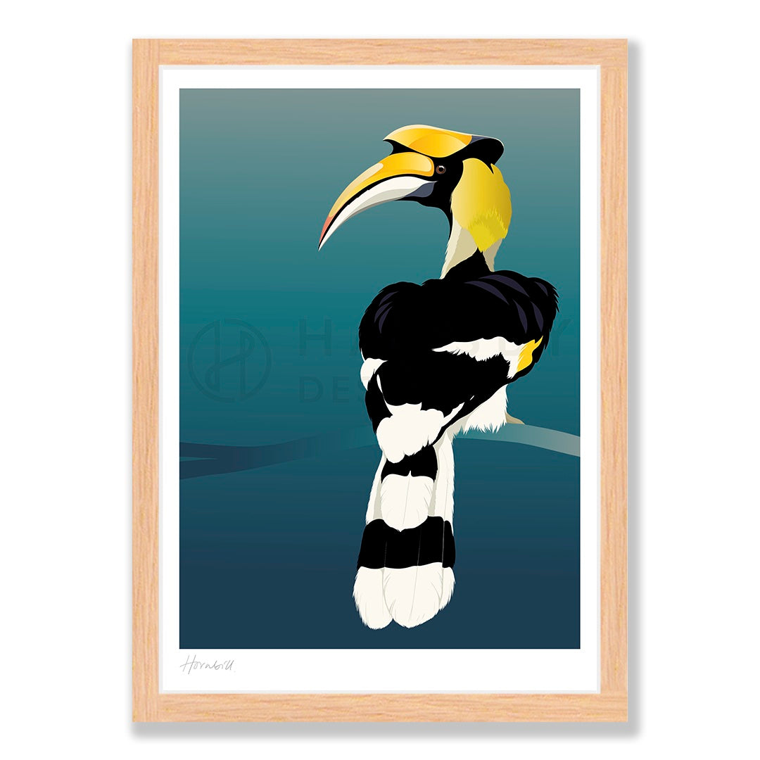 Hornbill art print in natural frame, by NZ artist Hansby Design