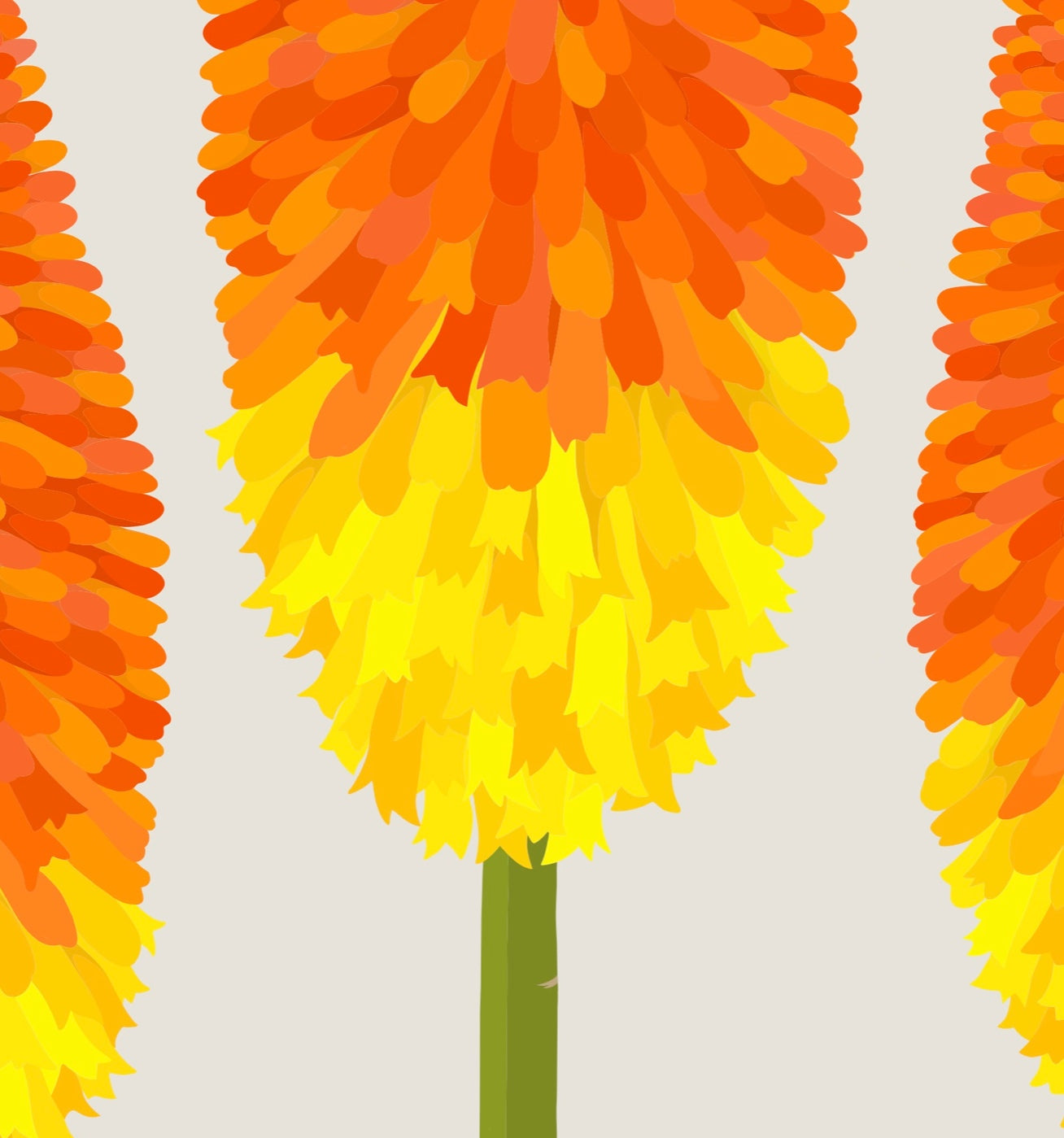 Closeup image of the Red Hot Poker art print, by NZ artist Hansby Design