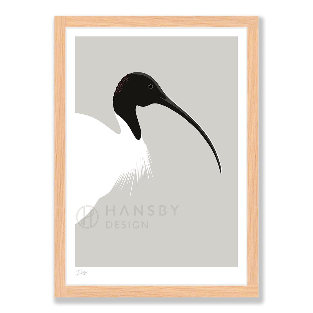 Ibis art print in natural frame, by NZ artist Hansby Design