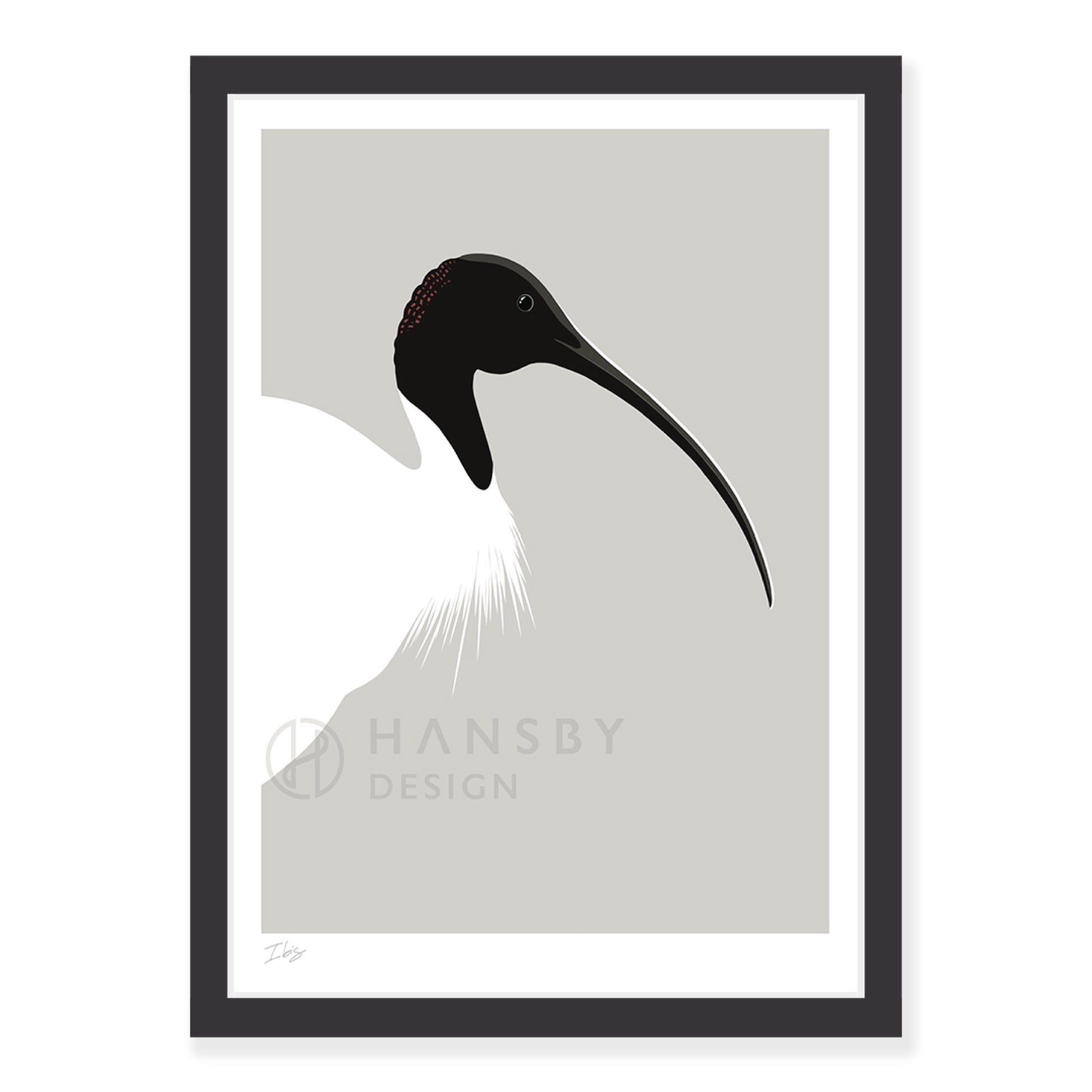 Ibis art print in black frame, by NZ artist Hansby Design