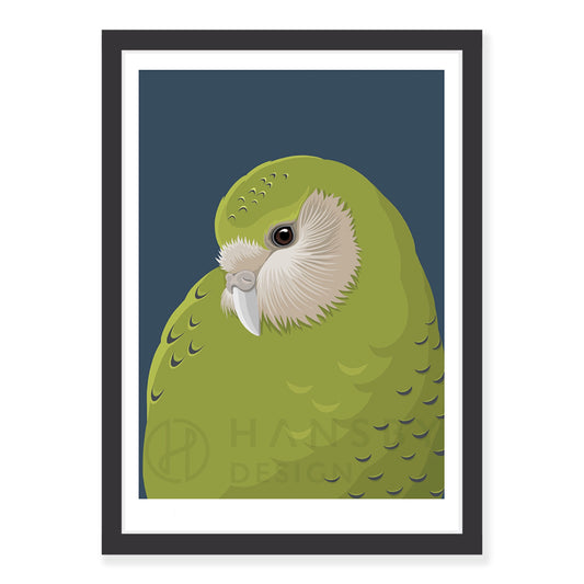 Kākāpō baby