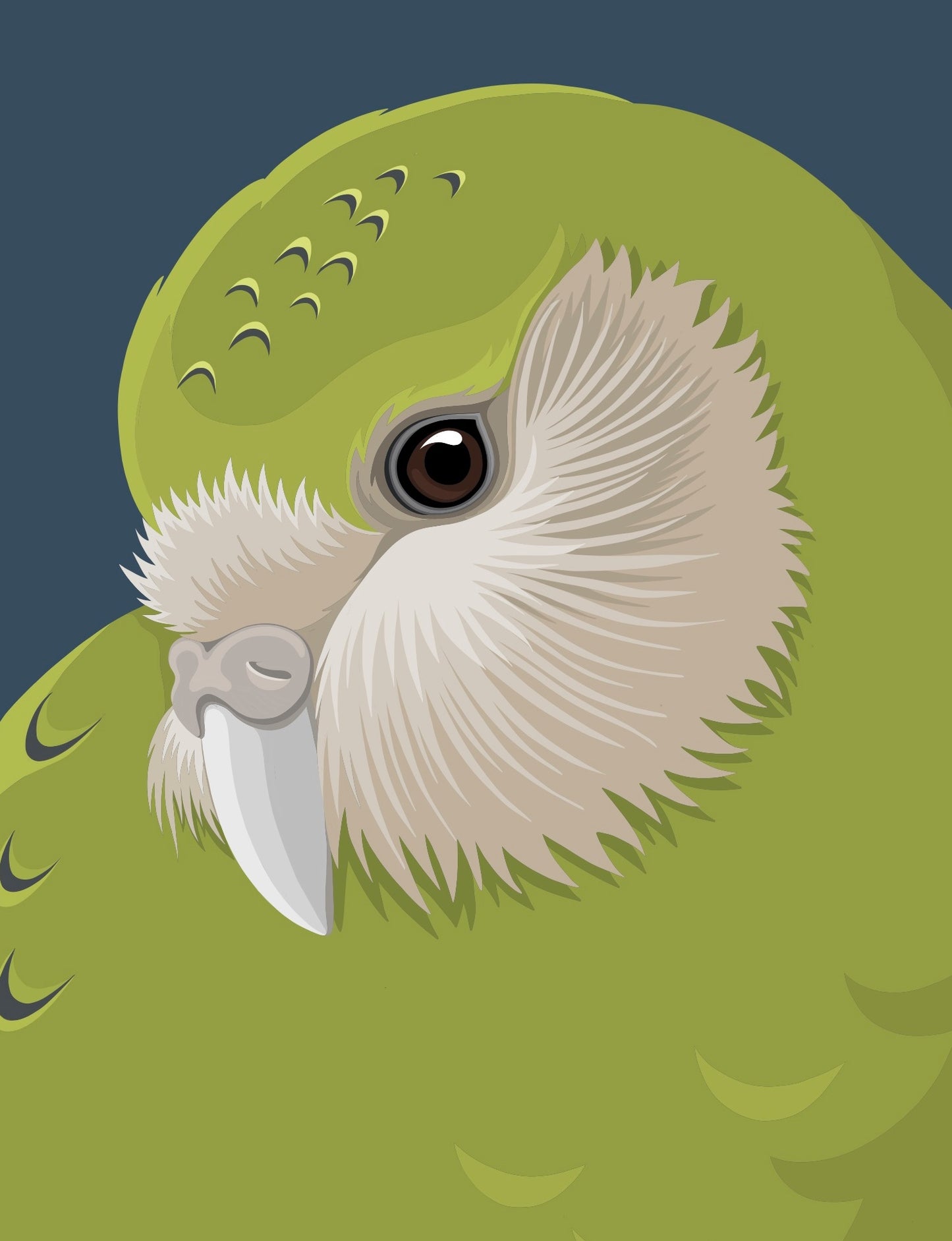 Kākāpō baby