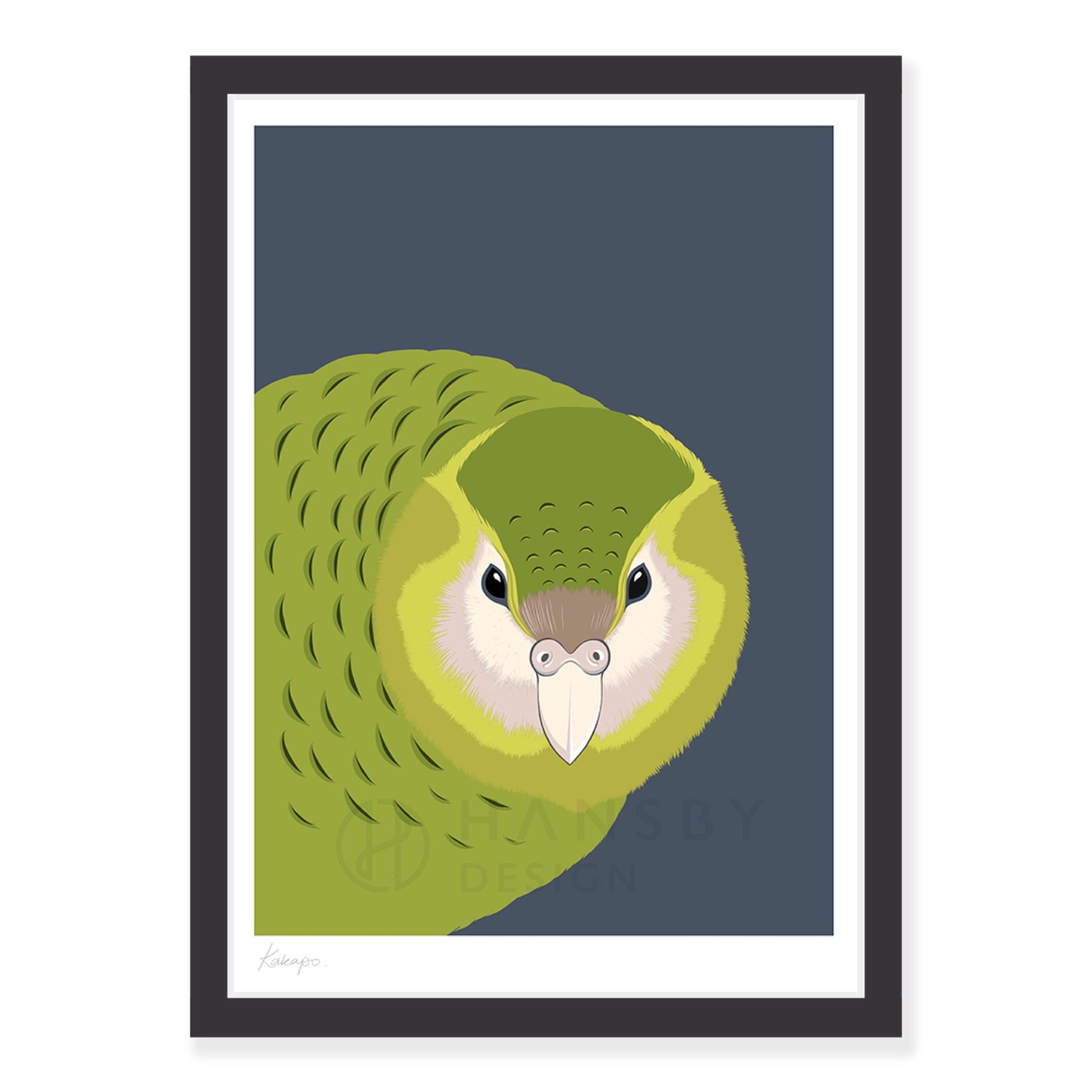 Kākāpō art print in black frame, by NZ artist Hansby Design