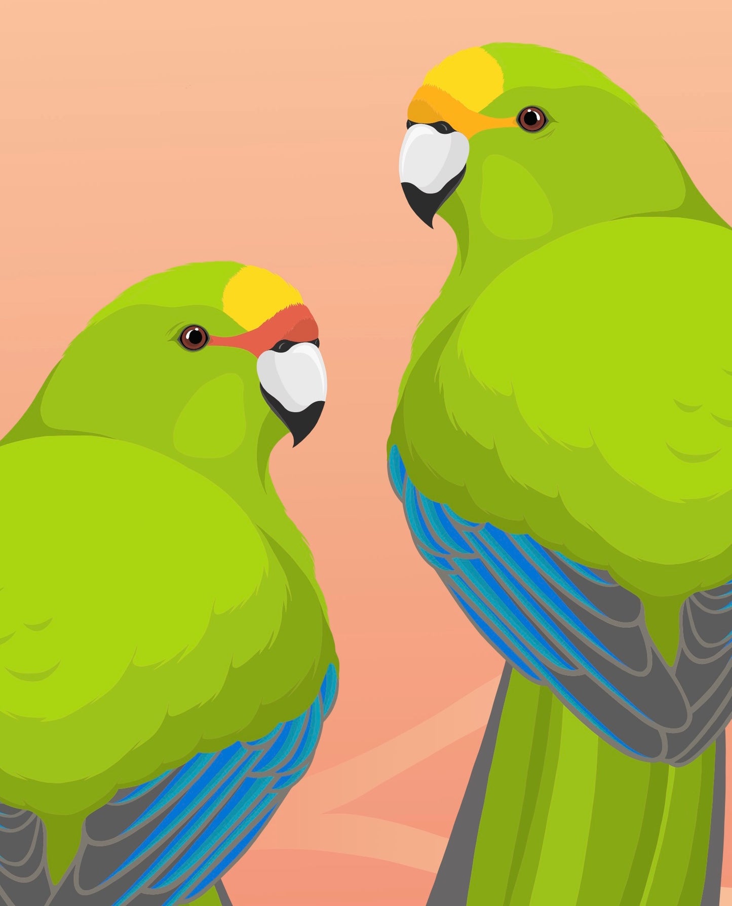 Closeup image of the Kakariki art print, by NZ artist Hansby Design