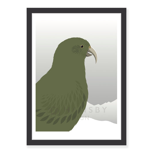 Kea Cheeky art print in black frame, by NZ artist Hansby Design