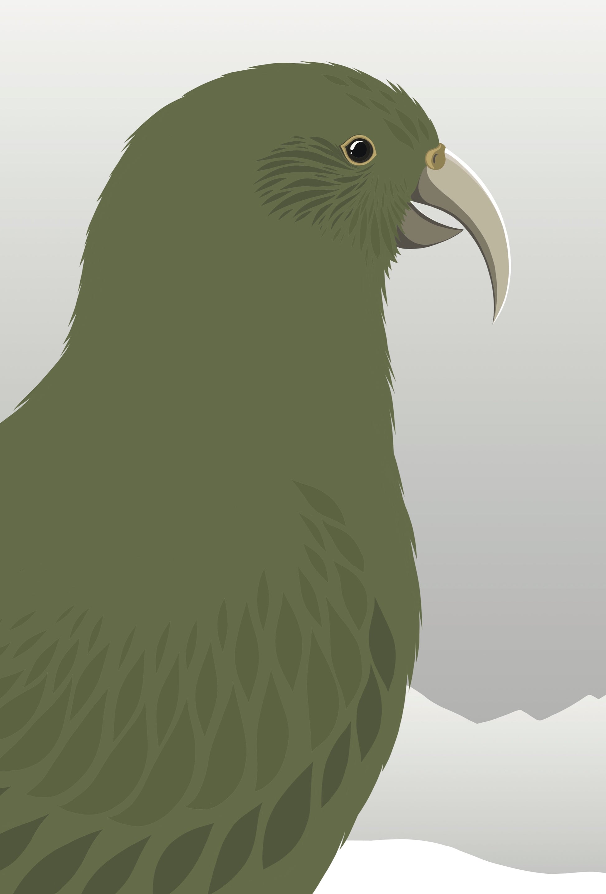 Closeup image of the Kea Cheeky art print, by NZ artist Hansby Design