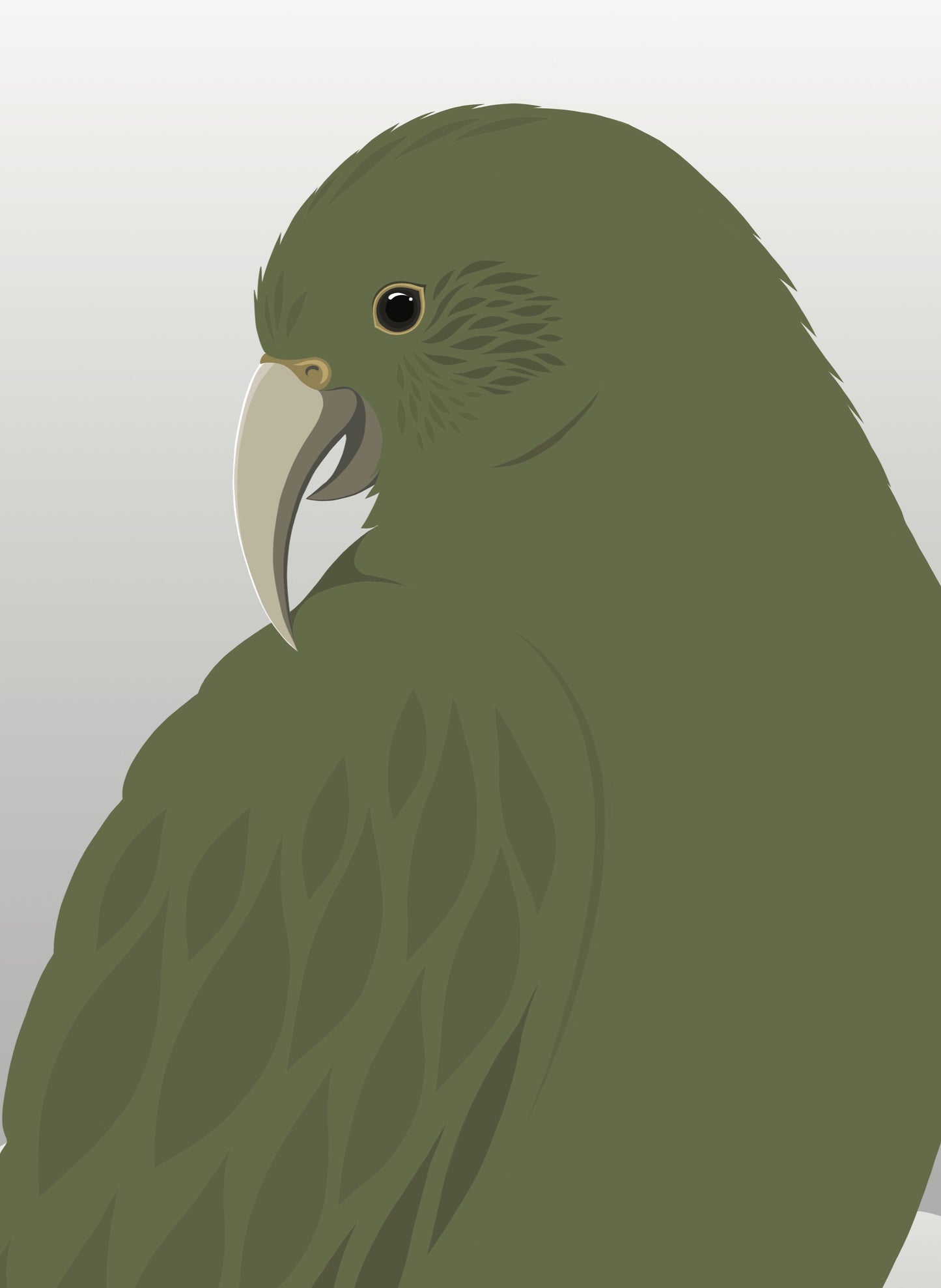 Closeup image of the Kea Curious art print, by NZ artist Hansby Design