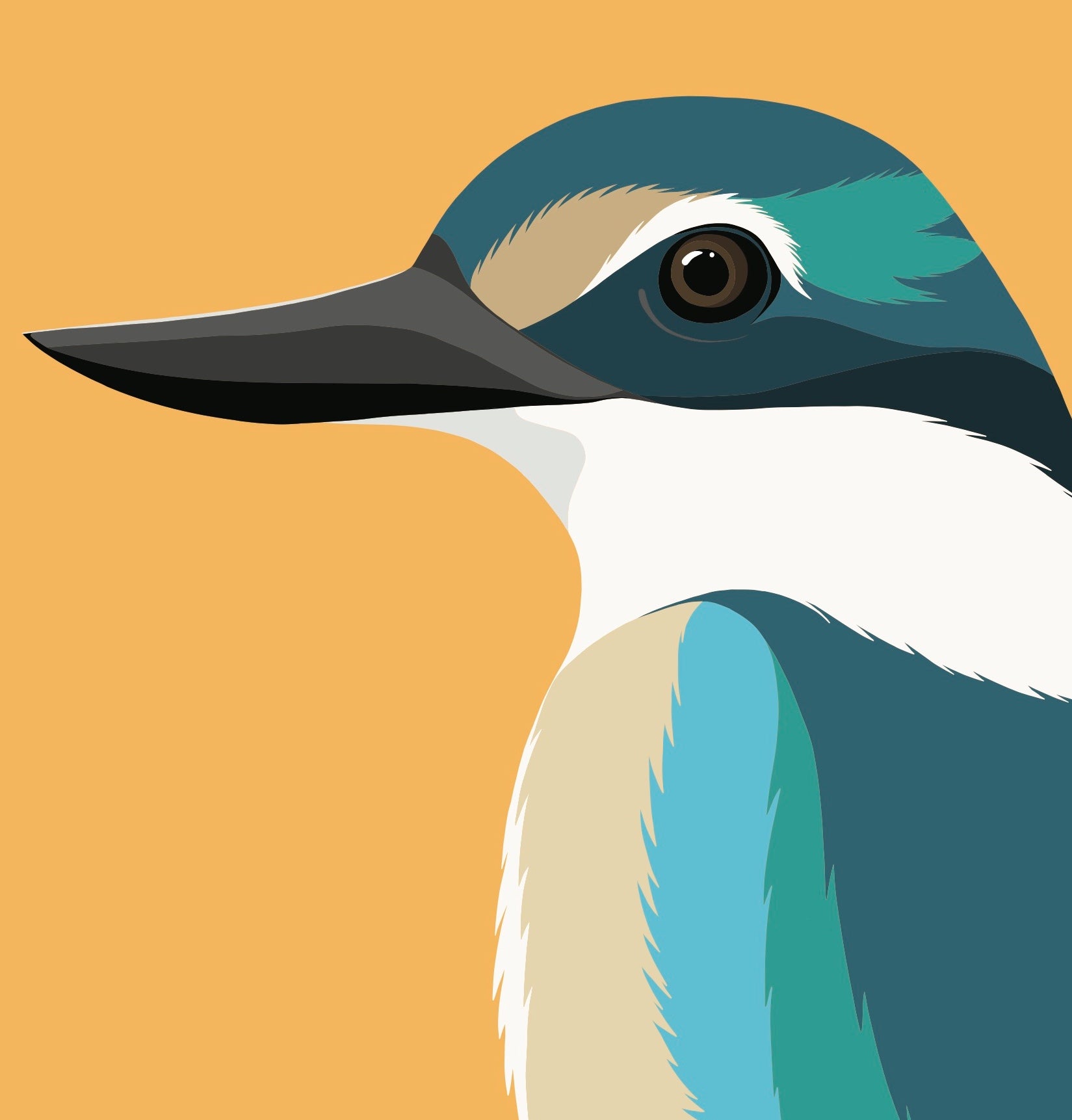 Closeup image of the Kingfisher art print, by NZ artist Hansby Design