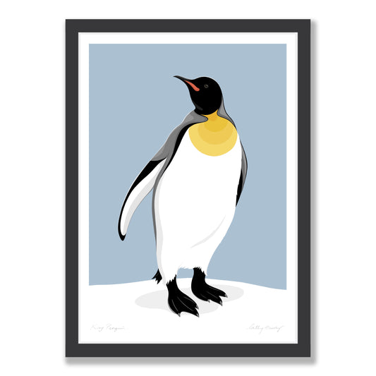 King Penguin