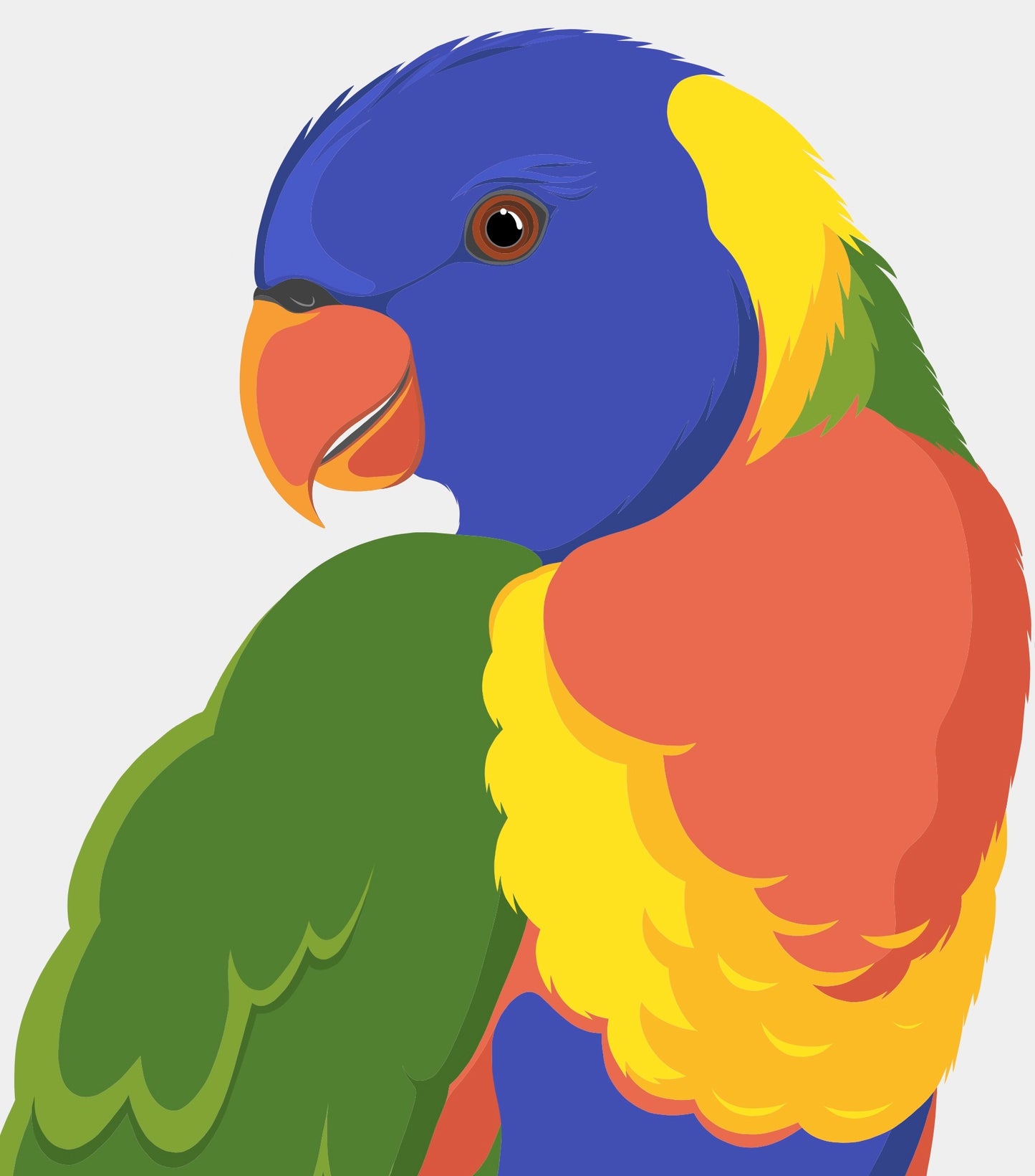 Closeup image of the Rainbow Lorikeet art print, by NZ artist Hansby Design