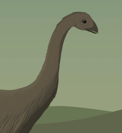 Closeup image of the Moa bird art print, by NZ artist Hansby Design