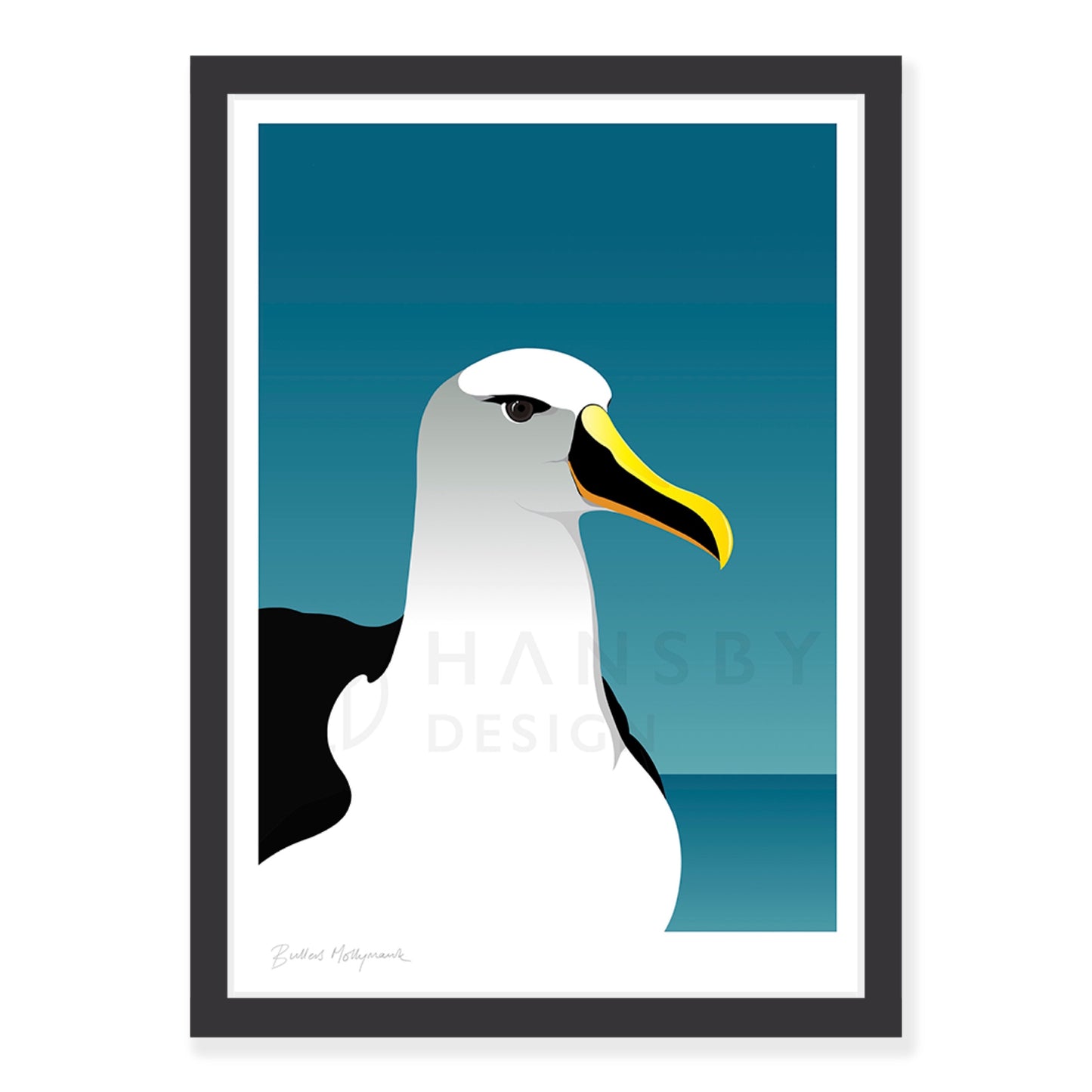 Mollymawk Albatross art print in black frame, by NZ artist Hansby Design
