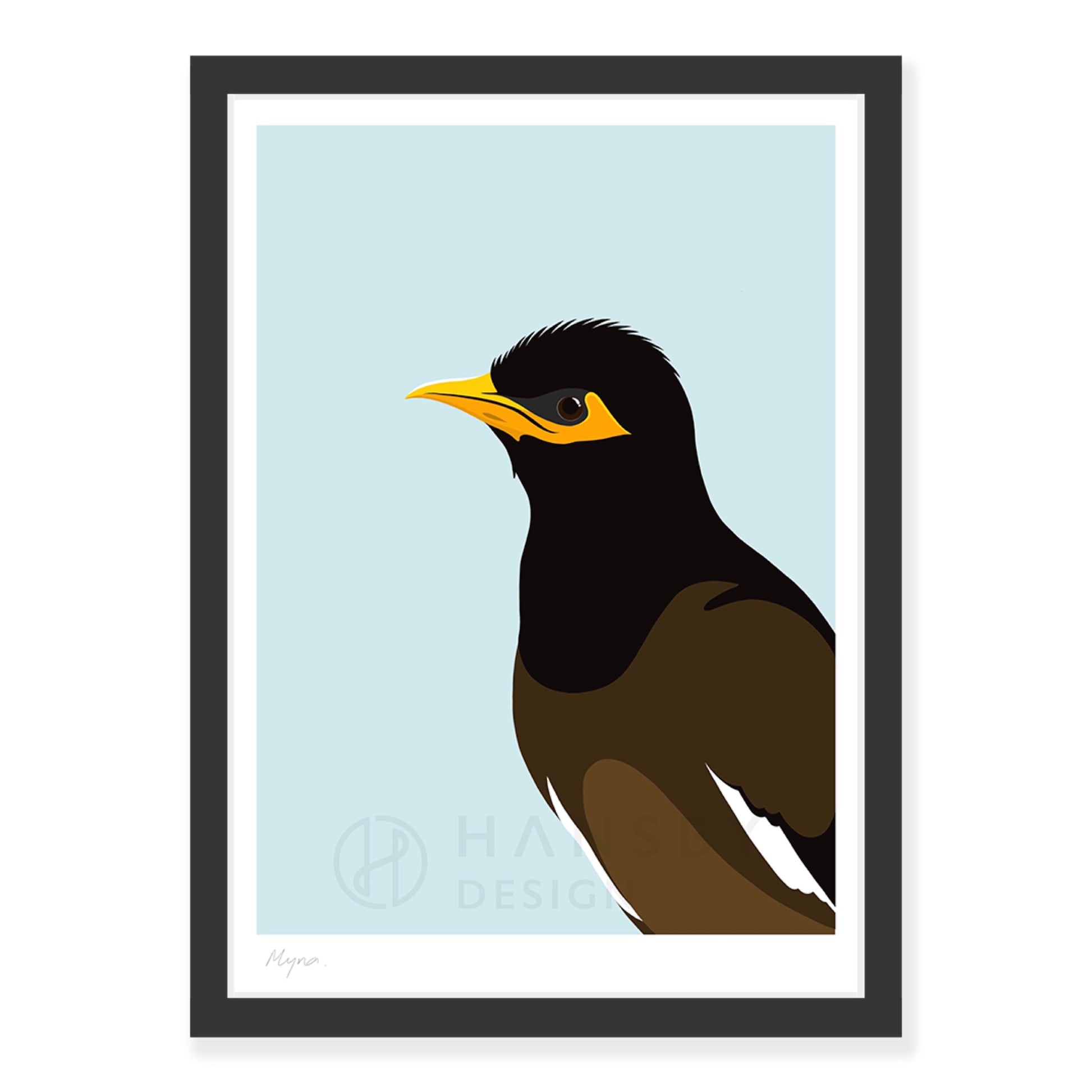 Myna bird art print in black frame, by NZ artist Hansby Design
