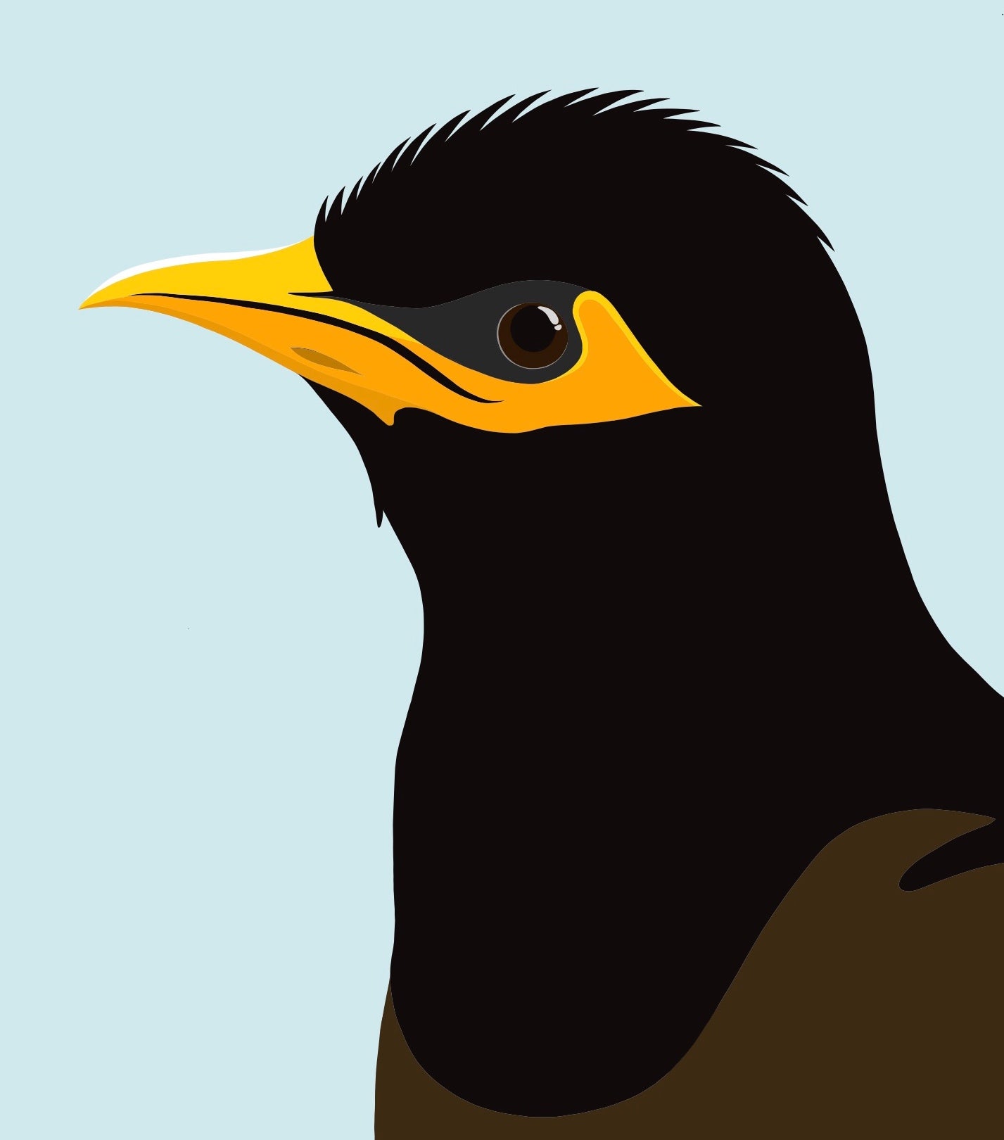 Closeup image of the Myna bird art print, by NZ artist Hansby Design
