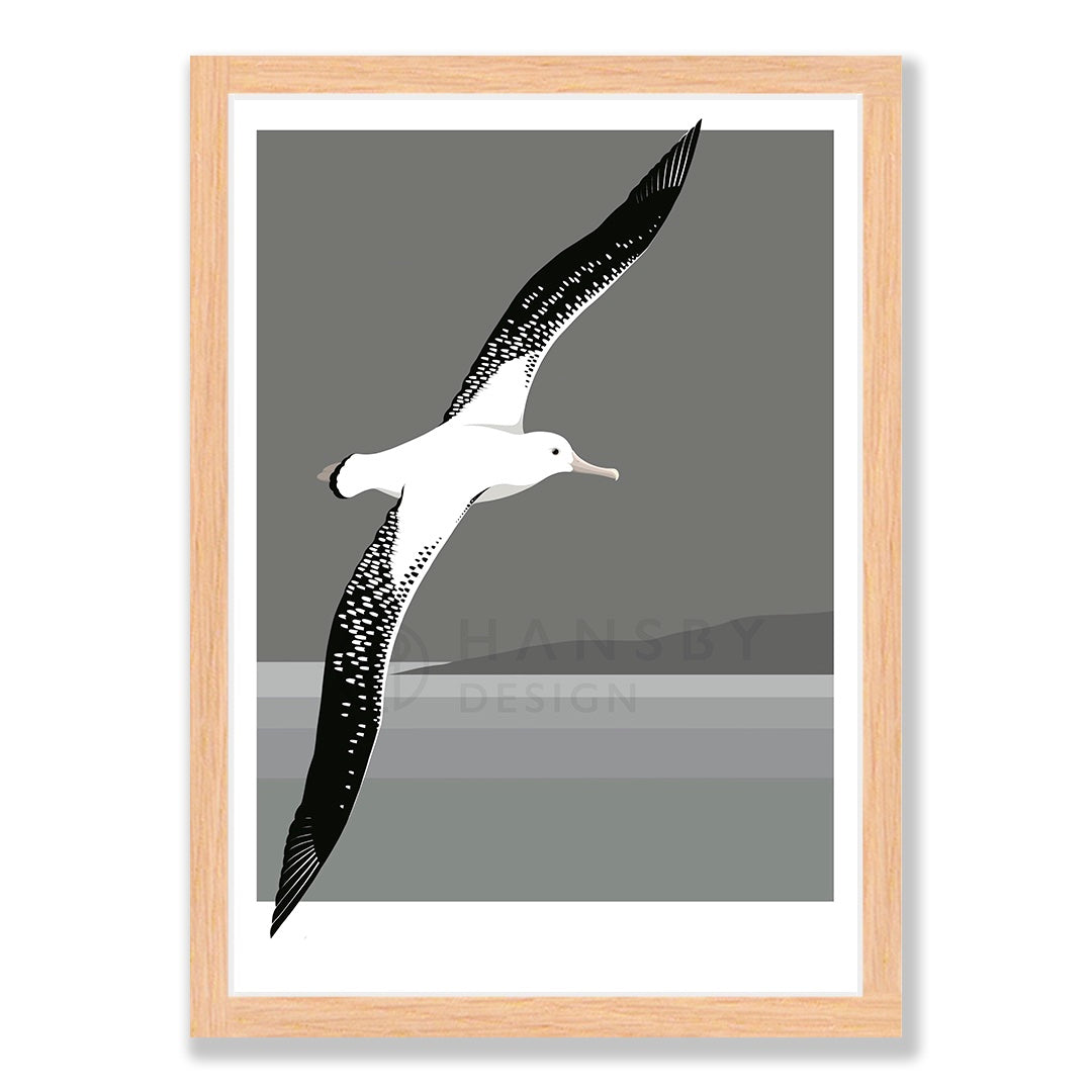 Antipodean Albatross art print in natural frame, by NZ artist Hansby Design