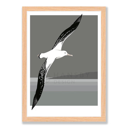 Antipodean Albatross art print in natural frame, by NZ artist Hansby Design