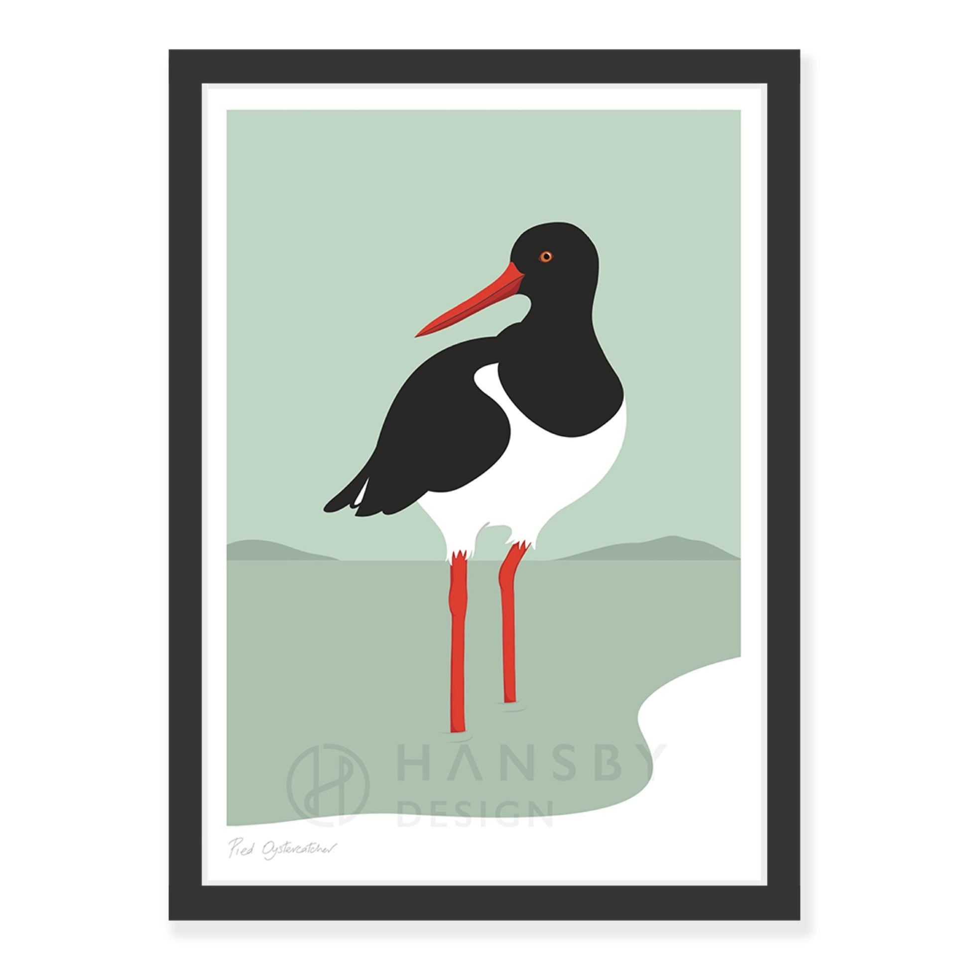 Oyster Catcher art print in black frame, by NZ artist Hansby Design