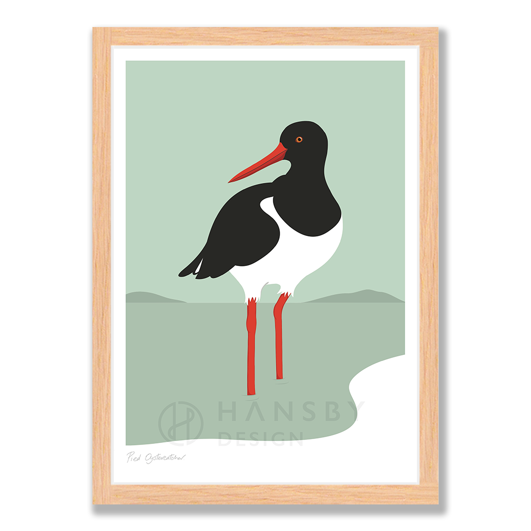 Oyster Catcher art print in natural frame, by NZ artist Hansby Design