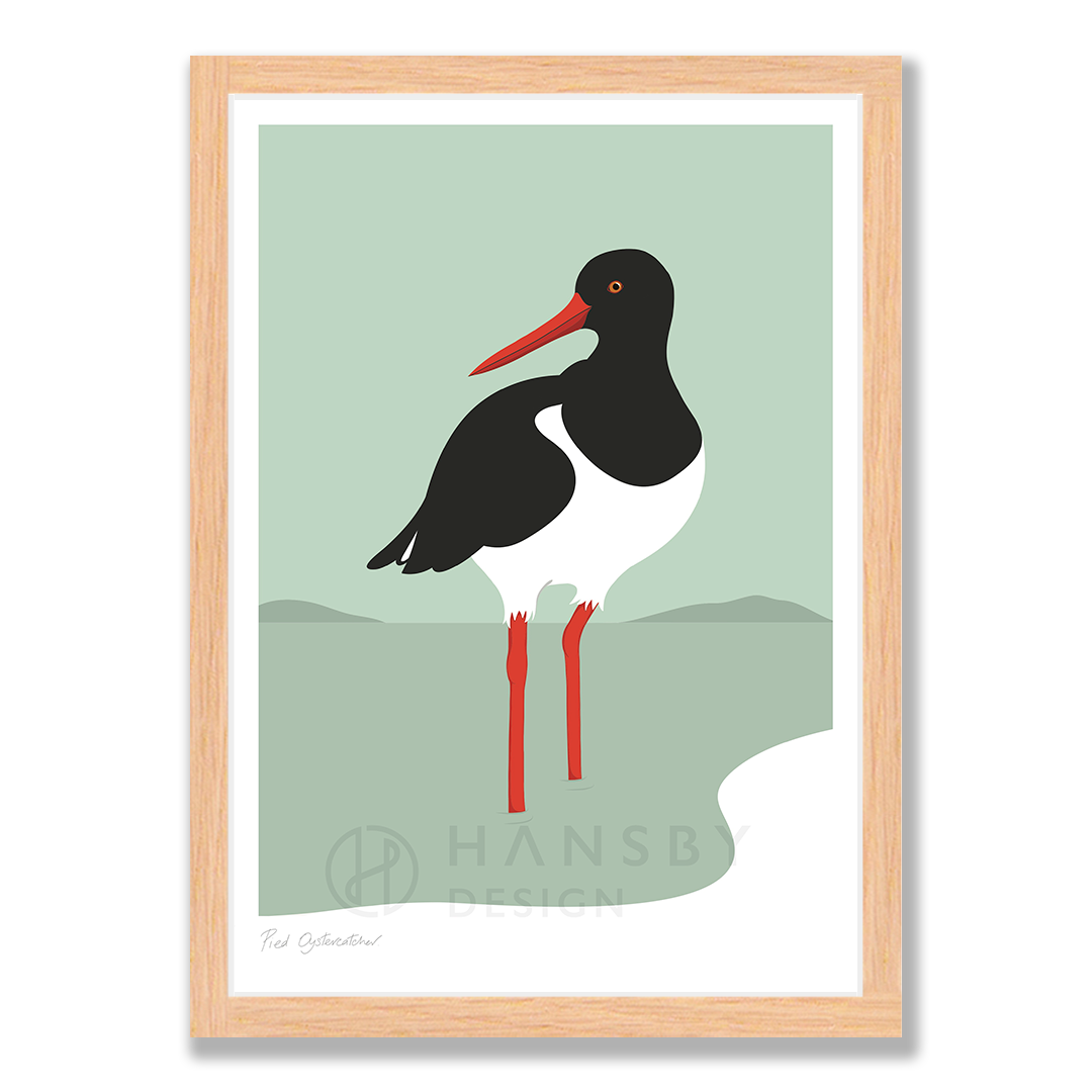 Oyster Catcher Hansby Design