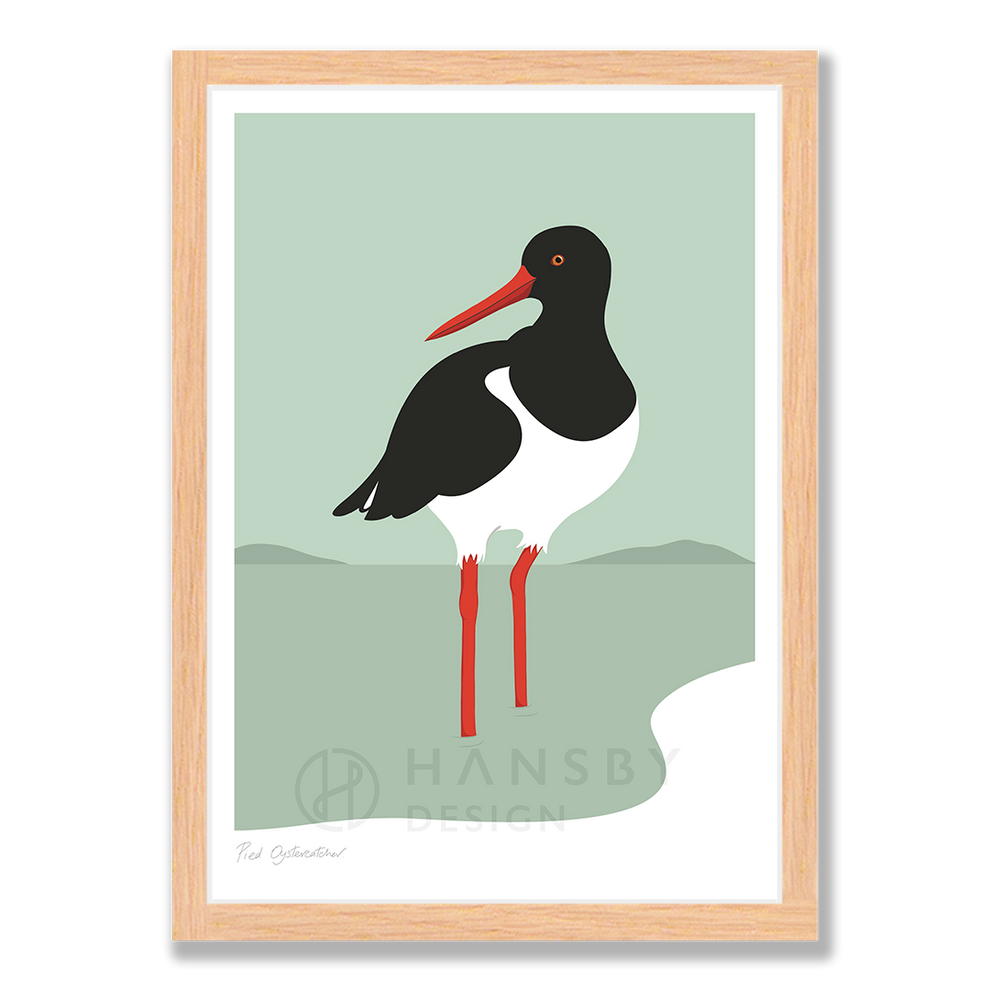 Oyster Catcher Hansby Design