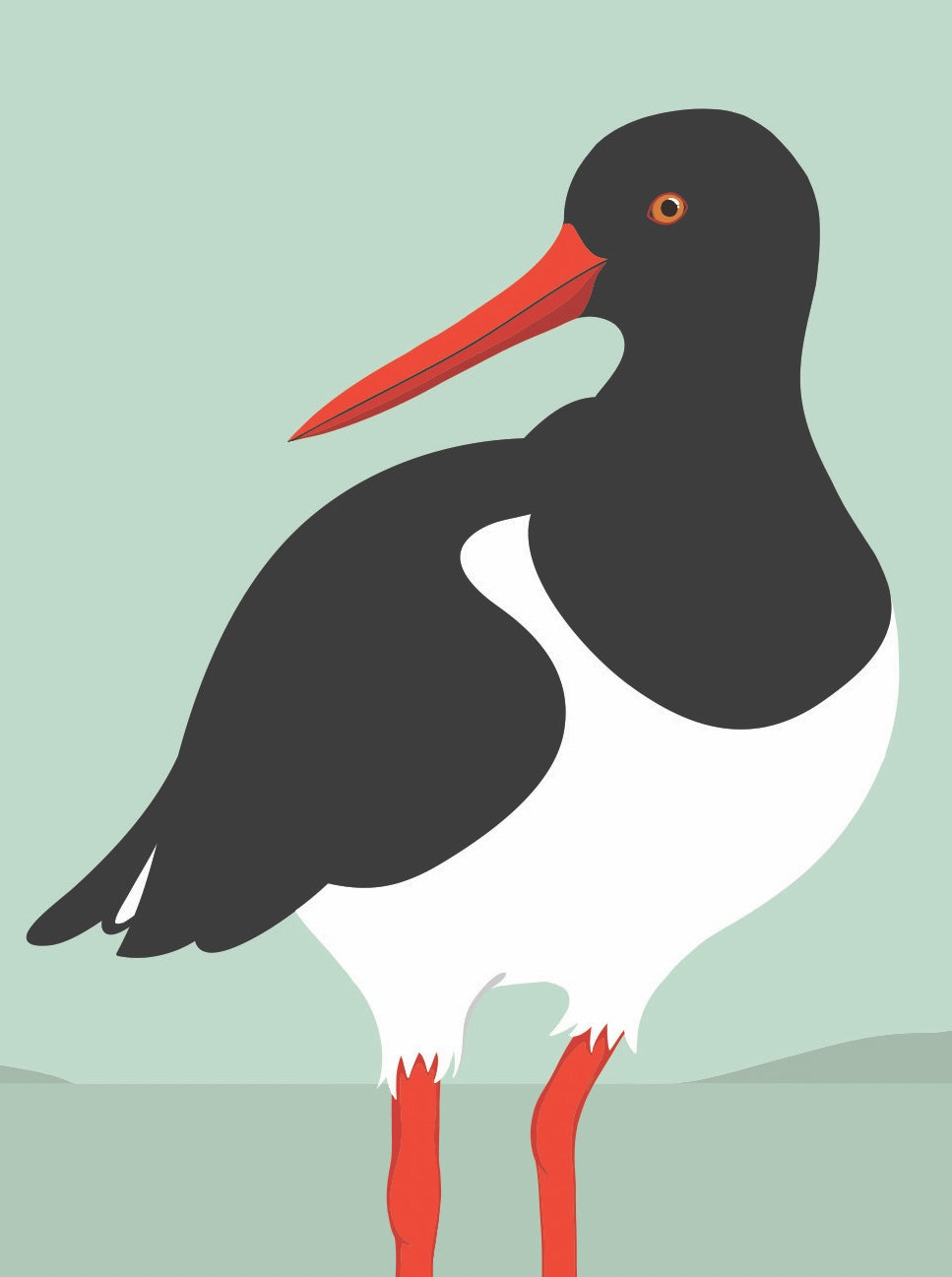 Closeup image of the Oyster Catcher art print, by NZ artist Hansby Design