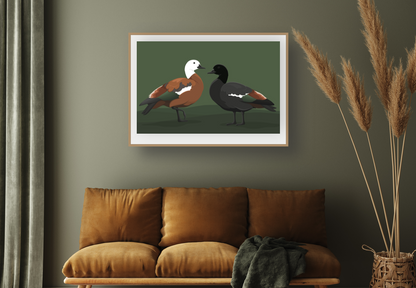 Limited Edition Paradise Shelduck art print