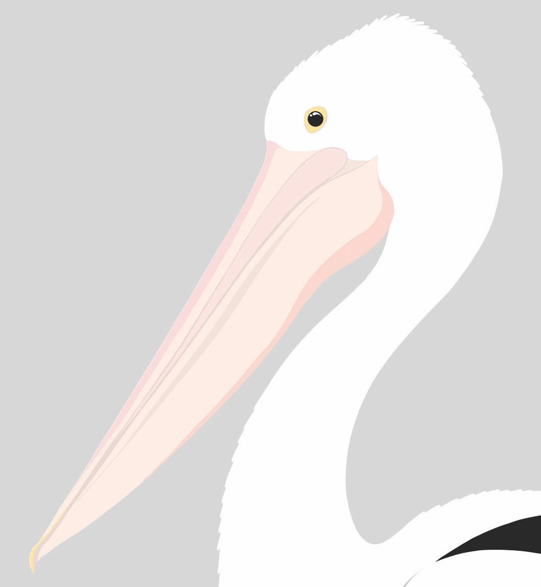 Closeup image of the Australian Pelican art print, by NZ artist Hansby Design