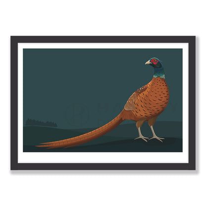 Limited Edition Pheasant art print in black frame, by NZ artist Hansby Design
