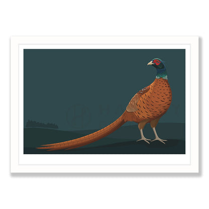 Limited Edition Pheasant art print in white frame, by NZ artist Hansby Design