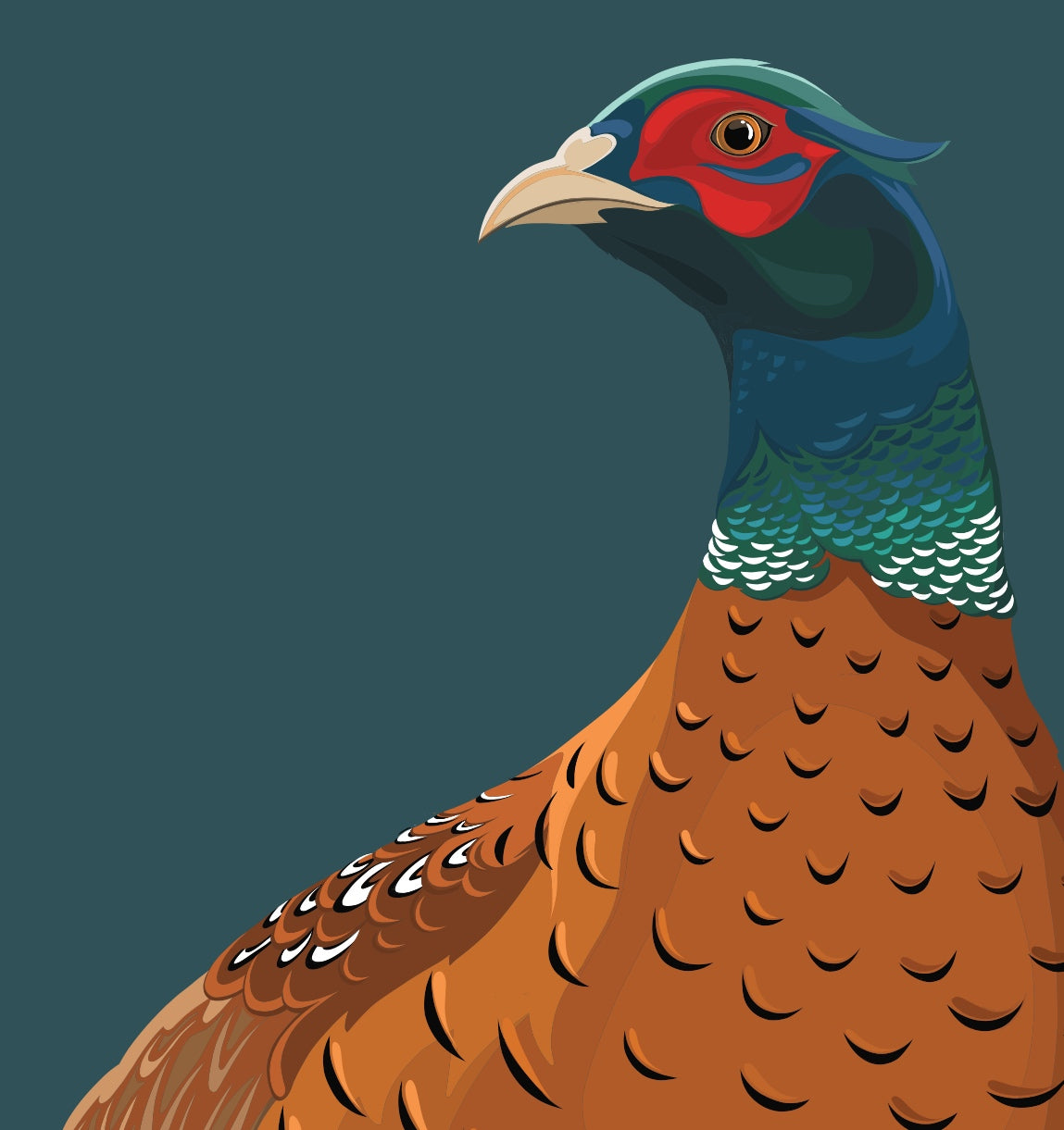 Closeup image of the Limited Edition Pheasant art print, by NZ artist Hansby Design