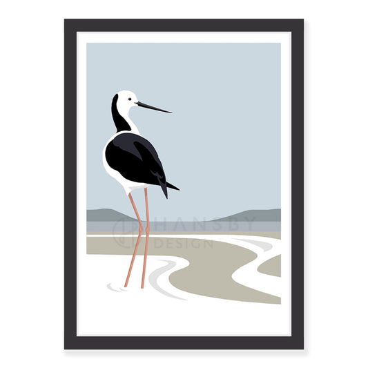 Pied Stilt art print in black frame, by NZ artist Hansby Design