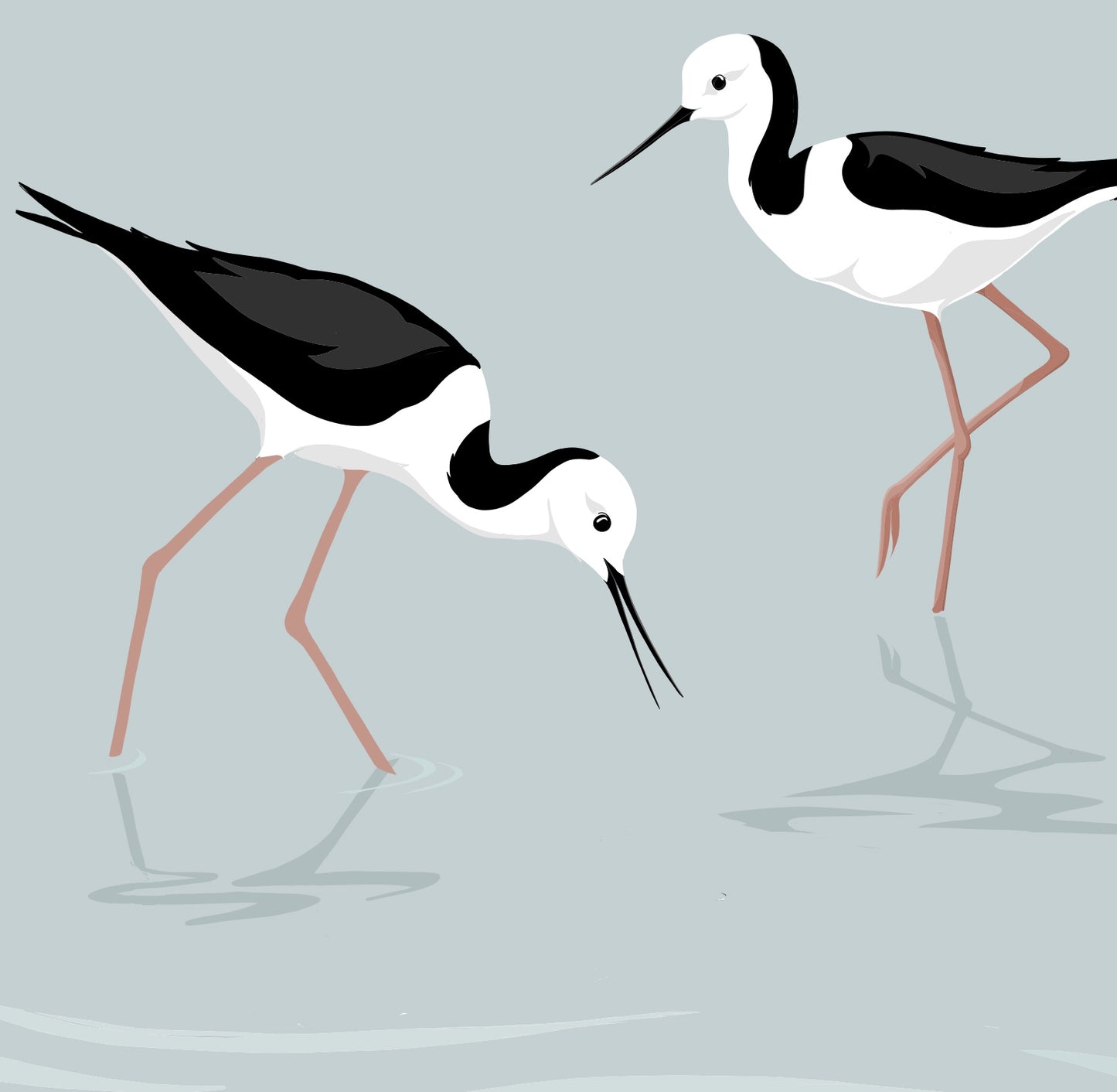 Closeup image of the Rangitoto Stilts art print, by NZ artist Hansby Design