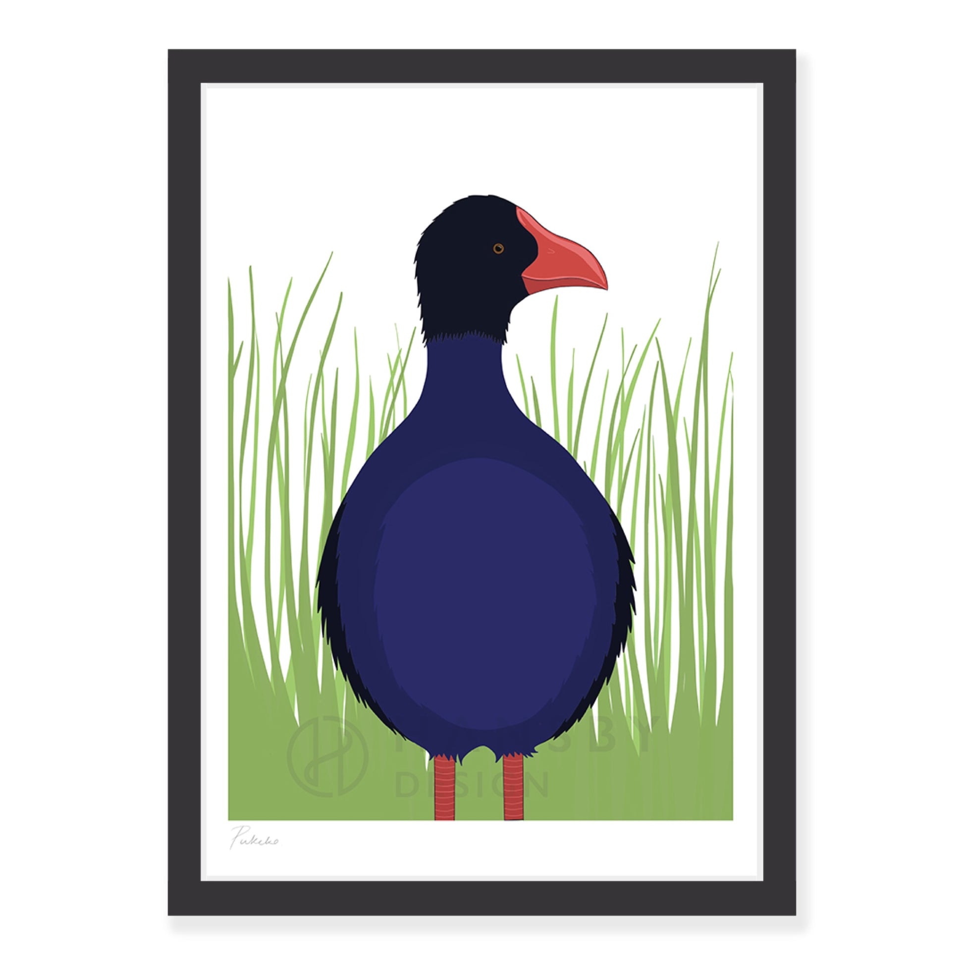 Pukeko bird art print in black frame, by NZ artist Hansby Design