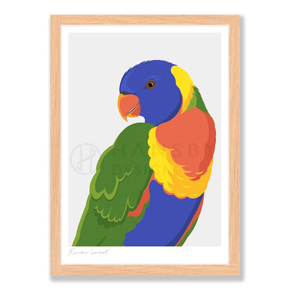 Rainbow Lorikeet bird art print in natural frame, by NZ artist Hansby Design