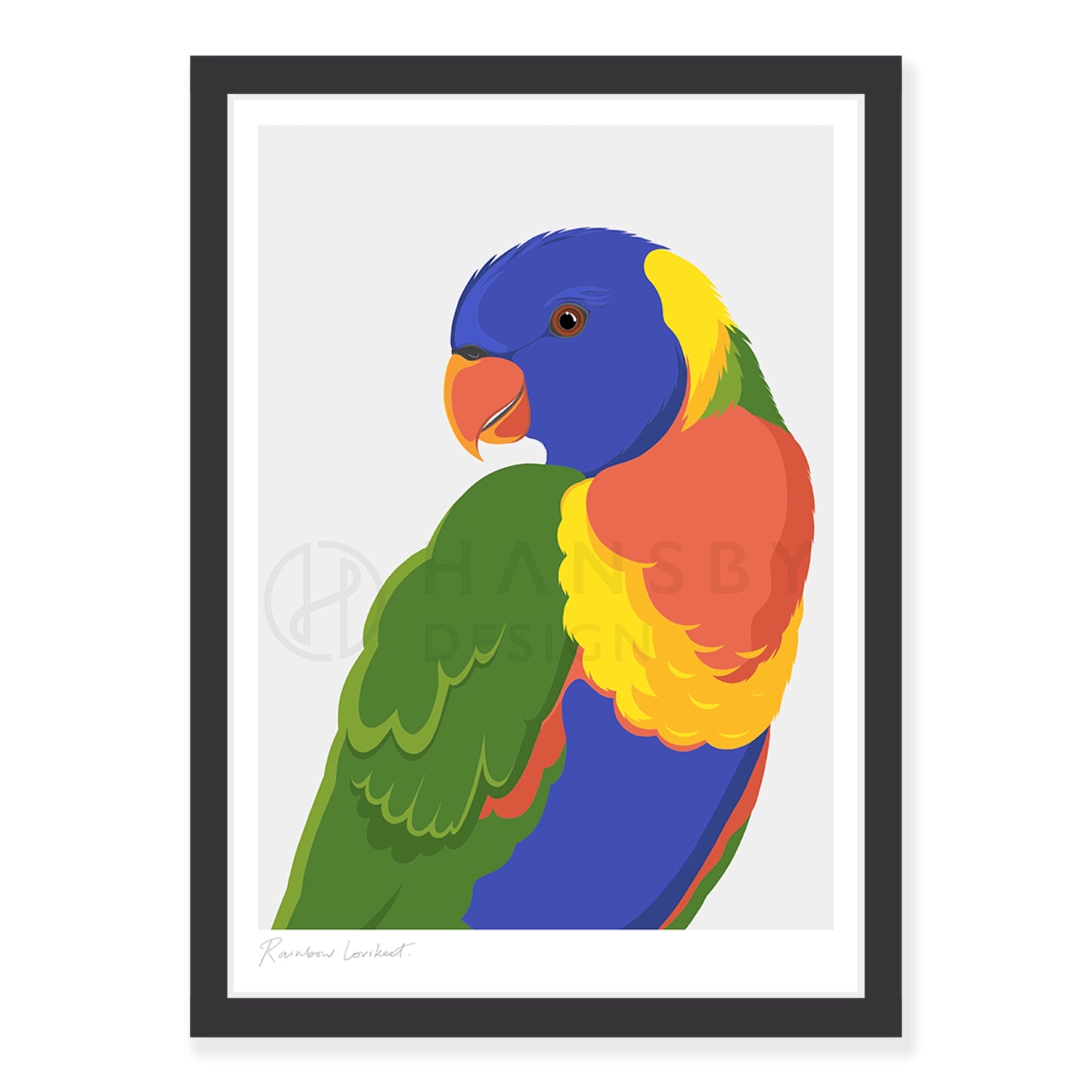 Rainbow Lorikeet bird art print in black frame, by NZ artist Hansby Design