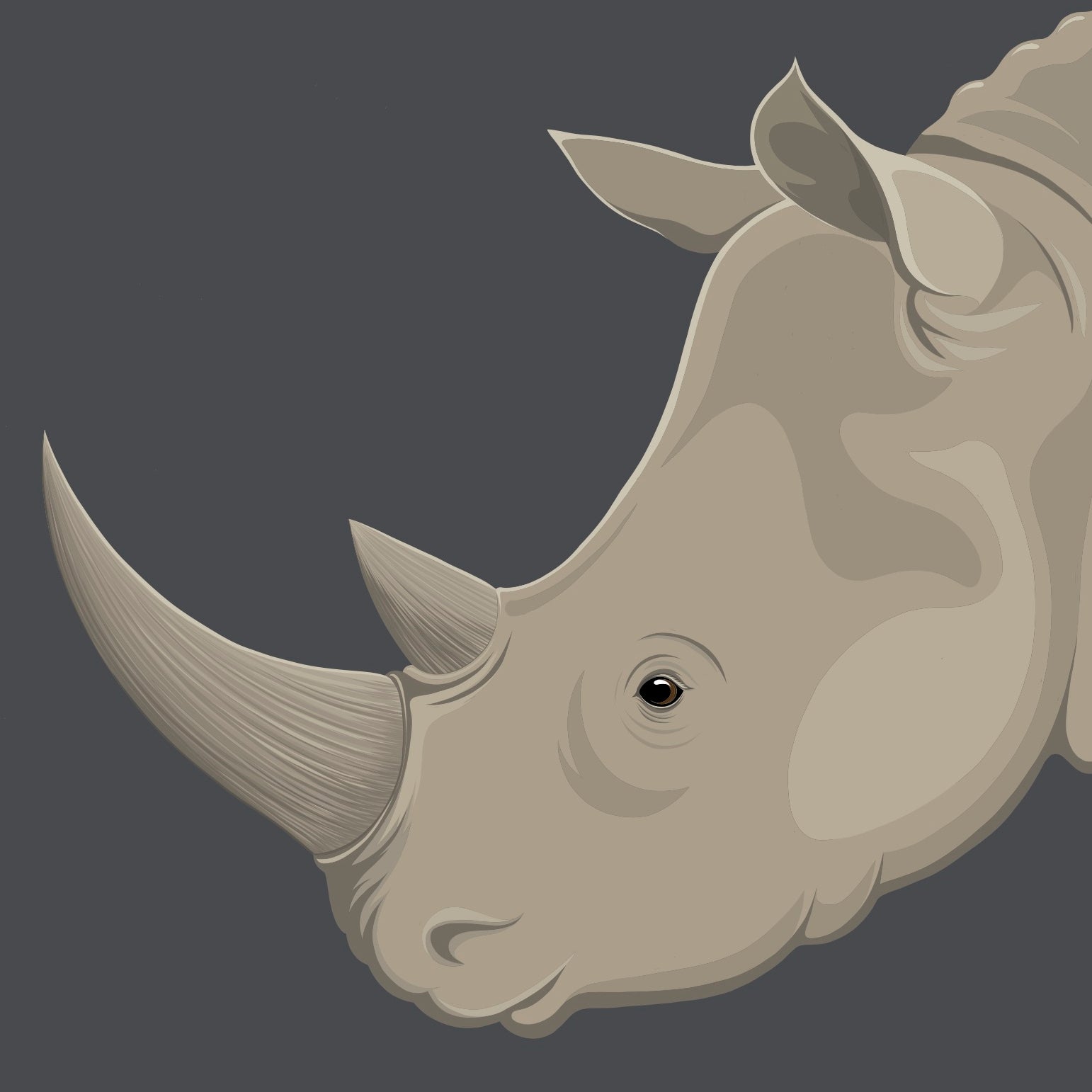 Detail of the Rhino art print by artist Hansby Design