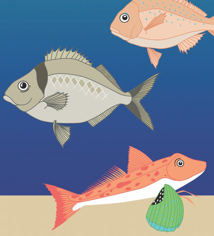 Closeup image of the Fish School art print, by NZ artist Hansby Design