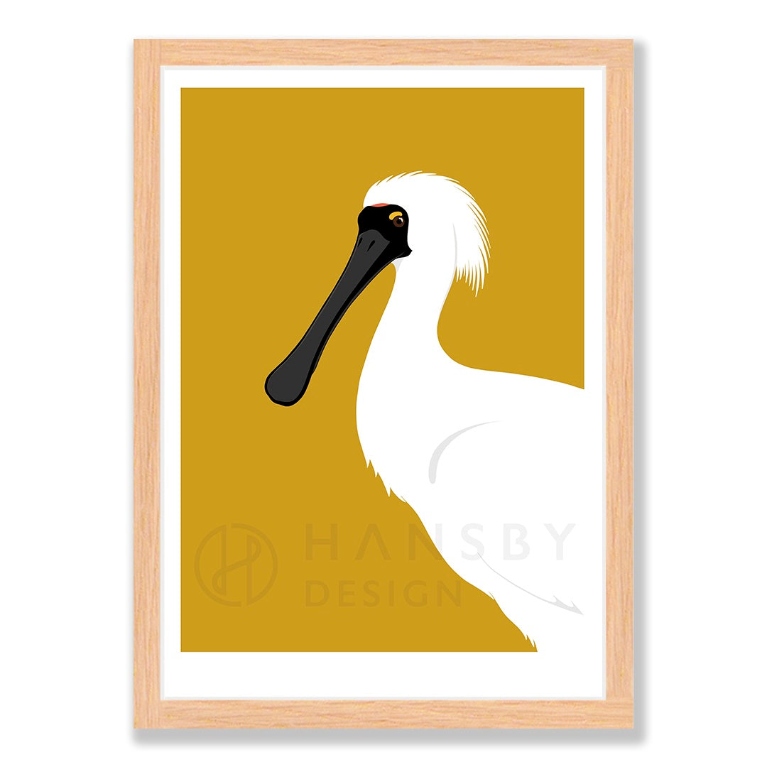 Spoonbill bird art print in natural frame, by NZ artist Hansby Design